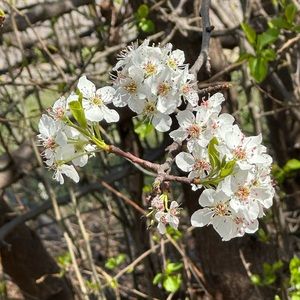 Meet your Posher, Lillian